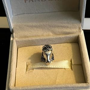Pandora/Disney Charm